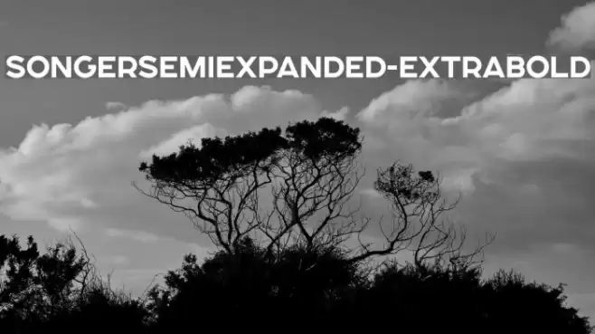 SONGERSemiExpanded-ExtraBold Font examples