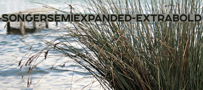 SONGERSemiExpanded-ExtraBold Font examples