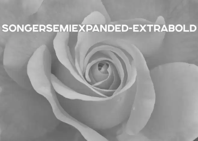 SONGERSemiExpanded-ExtraBold Font examples