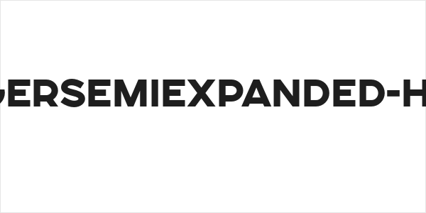 SONGERSemiExpanded-Heavy Logo