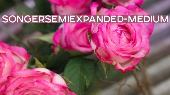 SONGERSemiExpanded-Medium Font examples
