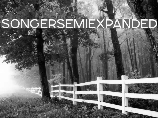 SONGERSemiExpanded Font examples