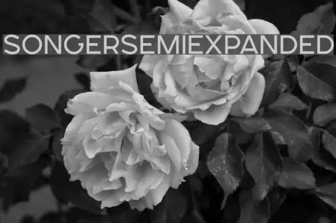 SONGERSemiExpanded Font examples