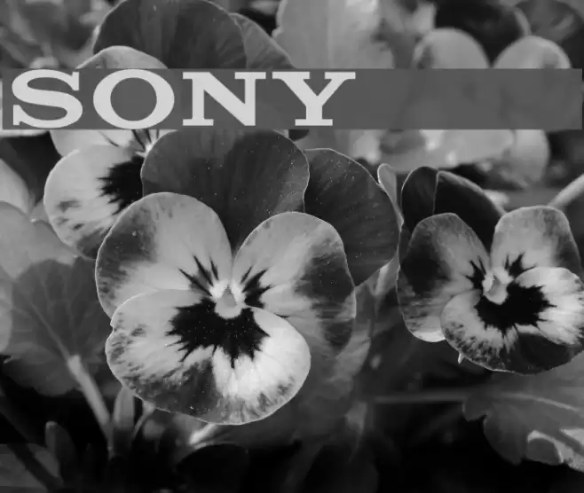 SONY's Logo Font examples