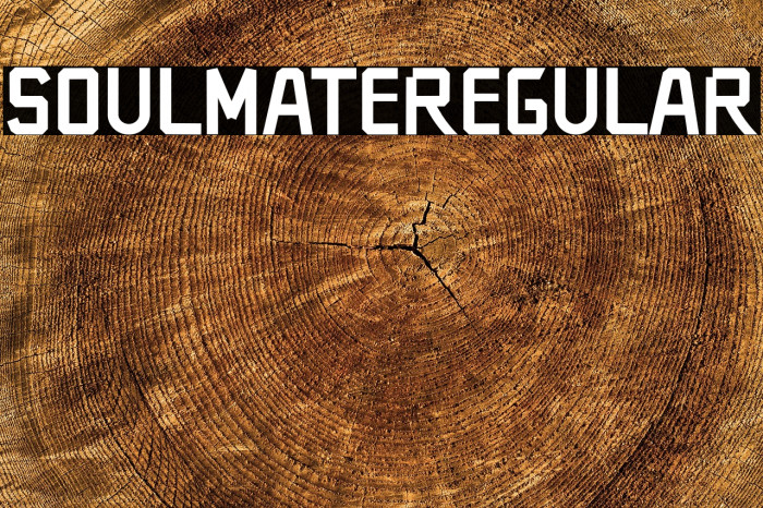 SOULMATERegular Example 1