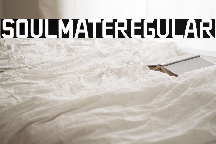 SOULMATERegular Example 2