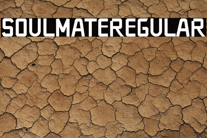 SOULMATERegular Example 3