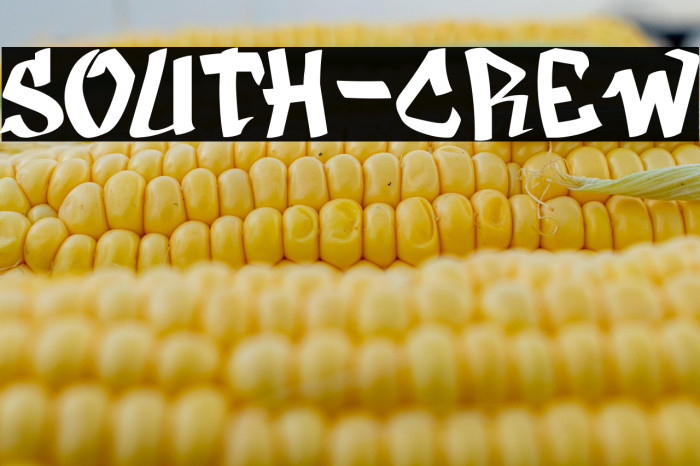 SOUTH-CREW Example 1