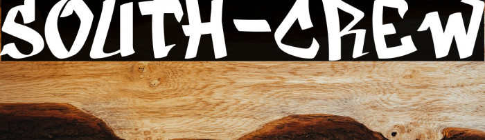 SOUTH-CREW Example 3