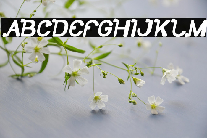 So Cute Bold Italic Example 2