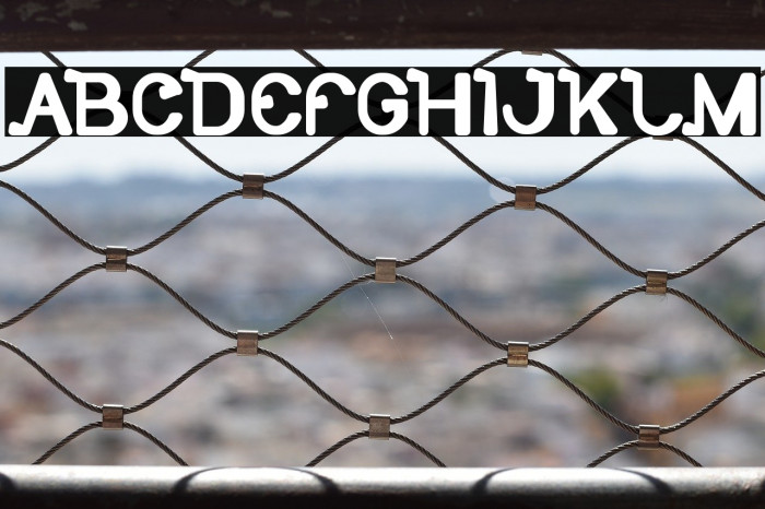 So Cute Bold Example 3