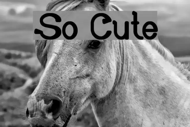 So Cute Font examples