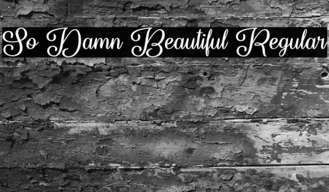 So Damn Beautiful Regular Font examples