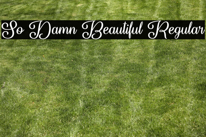 So Damn Beautiful Regular Example 2