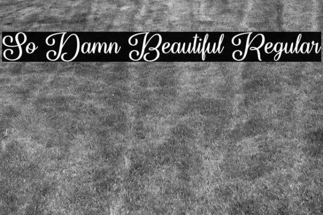 So Damn Beautiful Regular Font examples