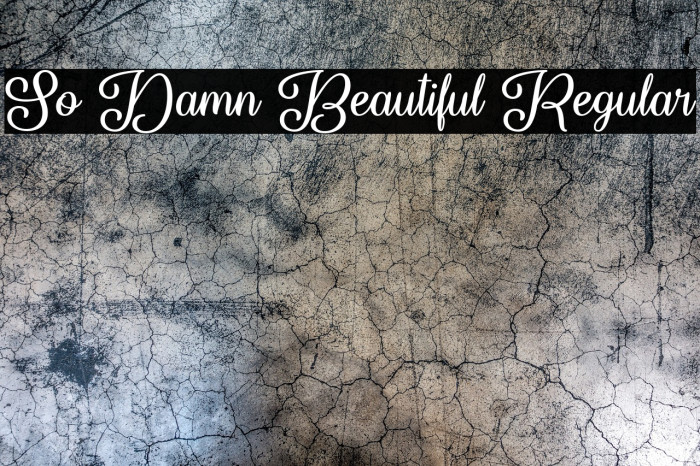 So Damn Beautiful Regular Example 3