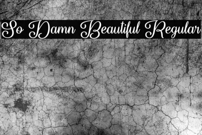 So Damn Beautiful Regular Font examples