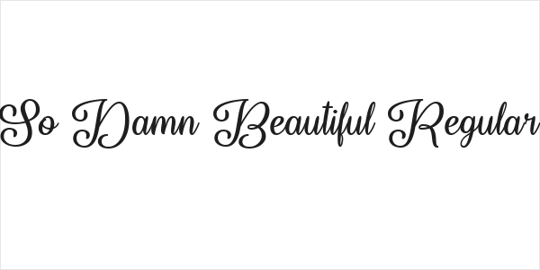 So Damn Beautiful Regular Logo
