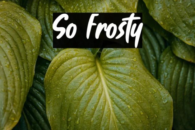 So Frosty Example 1