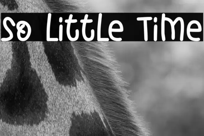 So Little Time Font examples
