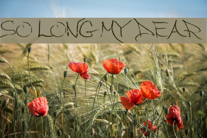 So Long My Dear Example 1