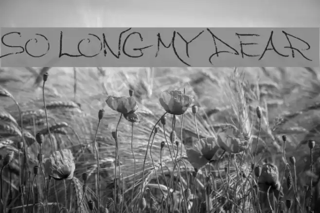 So Long My Dear Font examples