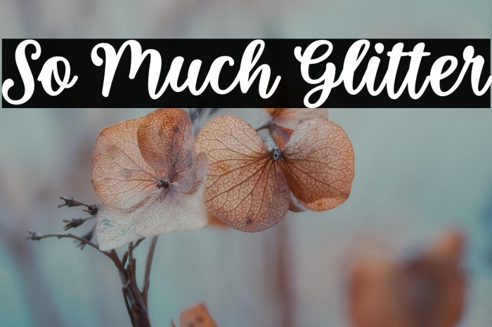 So Much Glitter Example 2