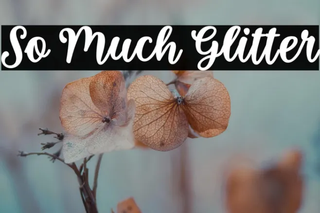 So Much Glitter Example 2