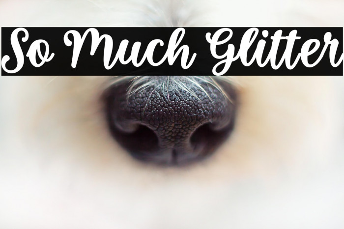 So Much Glitter Example 3