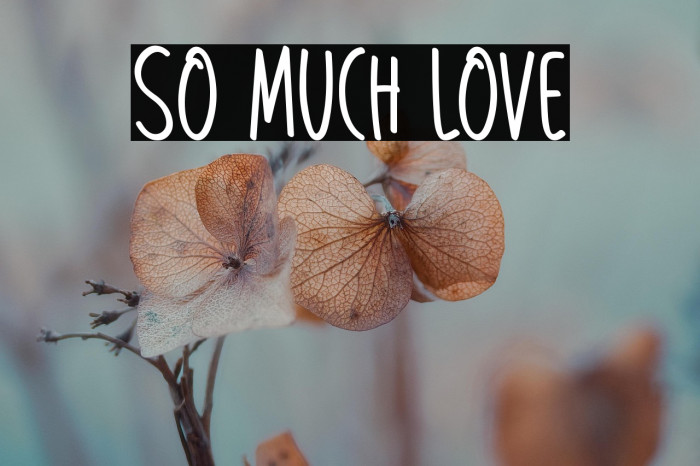 So Much Love Example 3