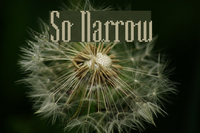 So Narrow Font examples