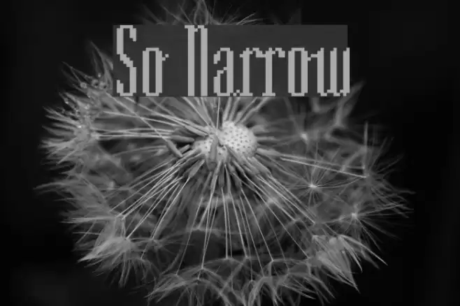 So Narrow Шрифта examples