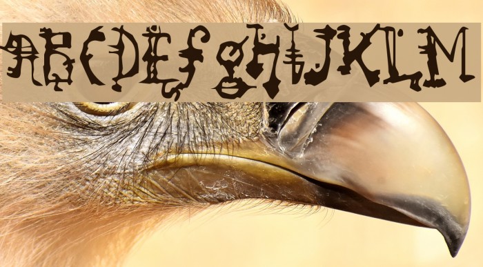 So Run Down Font examples