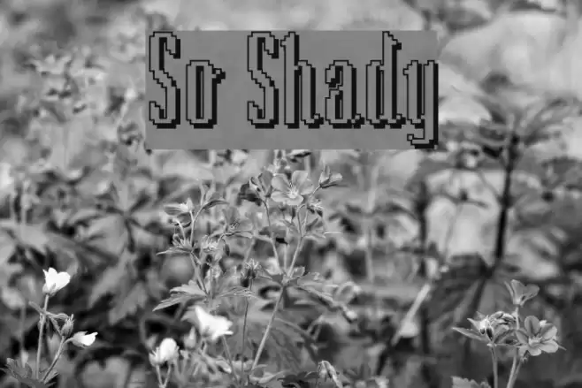 So Shady Font examples