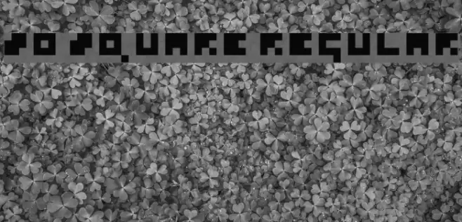 So Square Regular Font examples