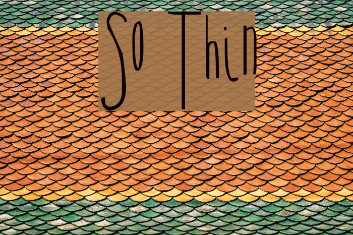 So Thin Example 1