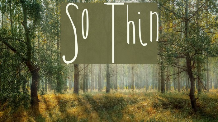 So Thin Example 2