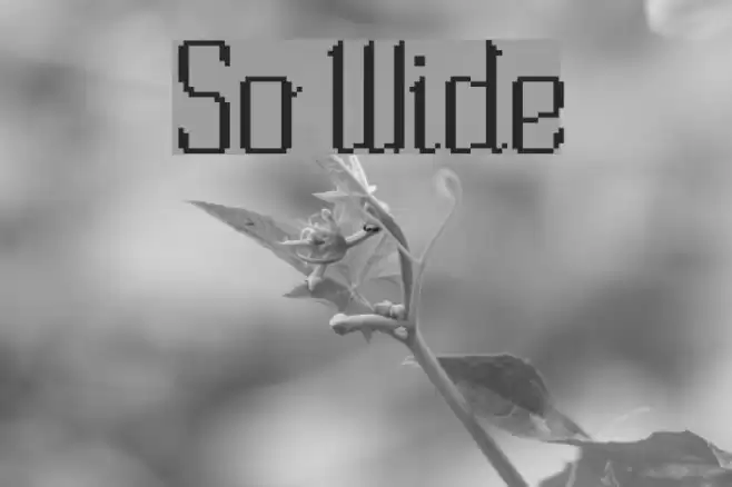 So Wide Fonte examples