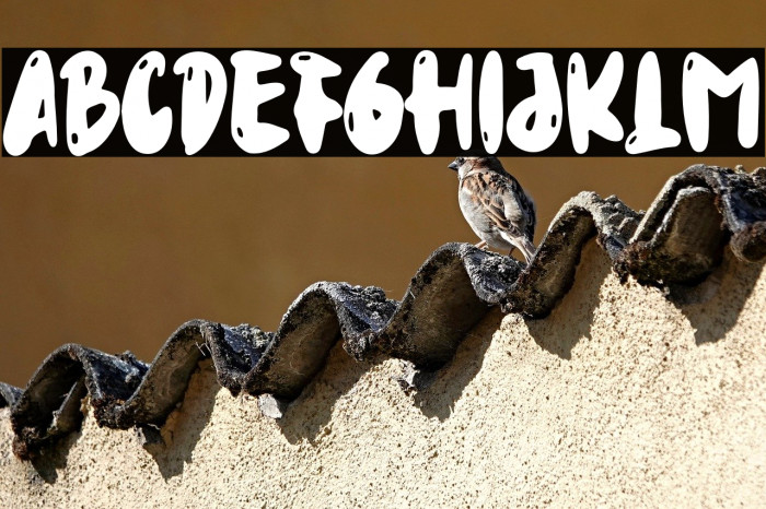 SoCuteHandwrittenPersonal-Reg Example 2