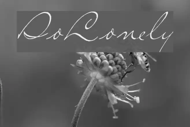 SoLonely Font examples