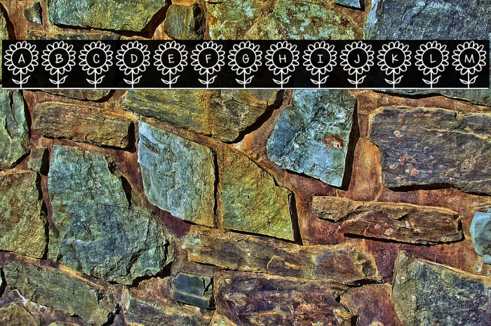 SoMeFlOwErS Example 1