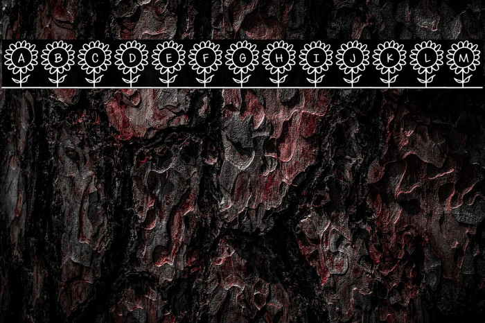 SoMeFlOwErS Example 3