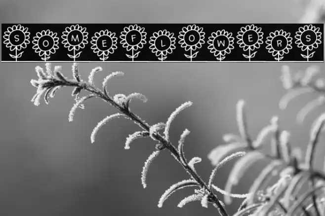 SoMeFlOwErS Font examples