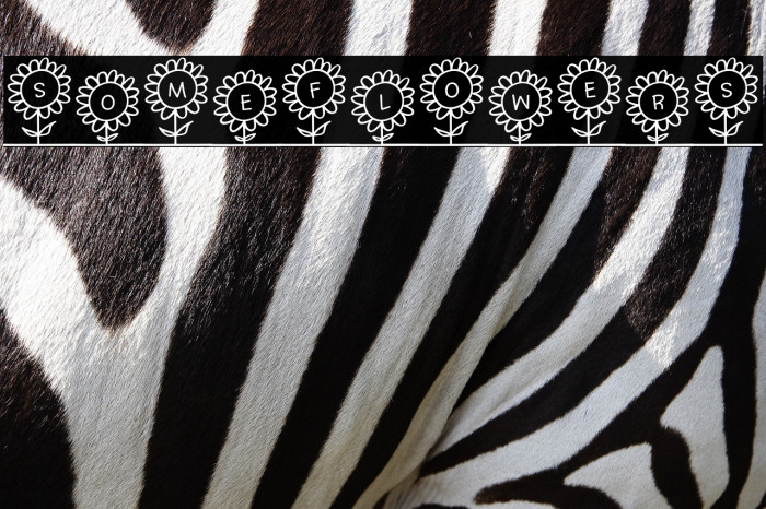 SoMeFlOwErS Example 3