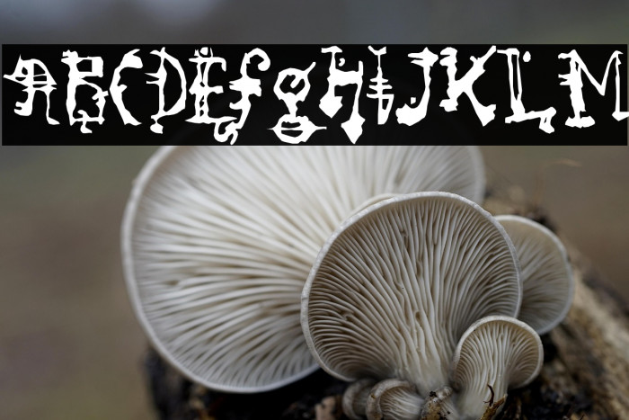 SoRunDown-Regular Example 3