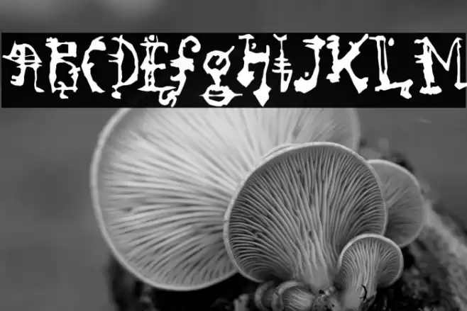 SoRunDown-Regular Font examples