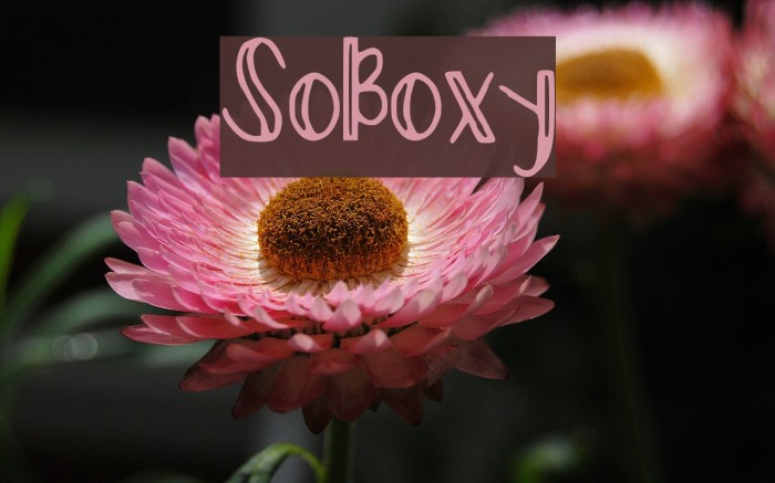 So_Boxy Example 3