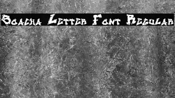Soacha Letter Font Regular Example 1