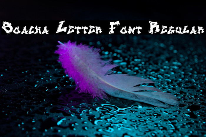 Soacha Letter Font Regular Example 3