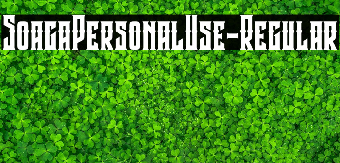 SoagaPersonalUse-Regular Example 1